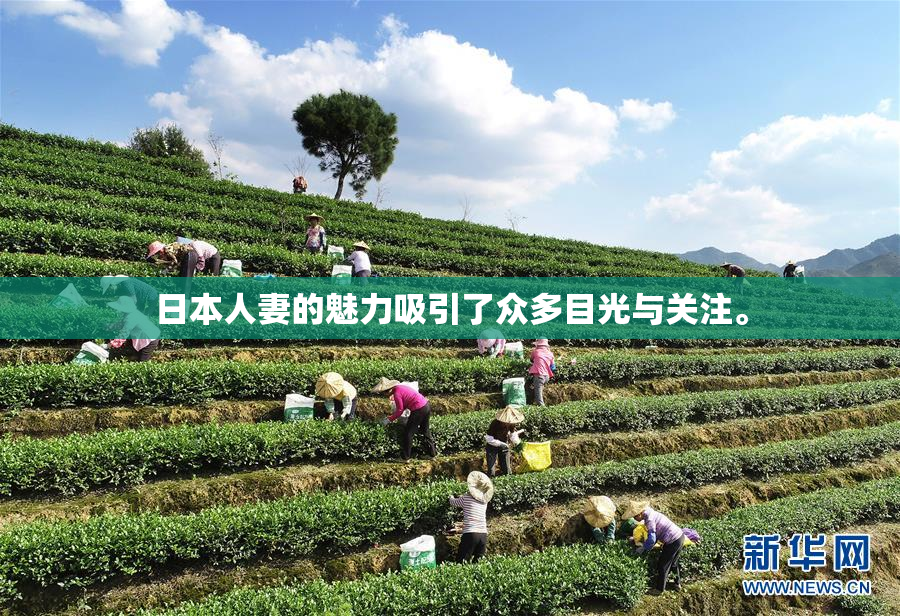 日本人妻的魅力吸引了众多目光与关注。