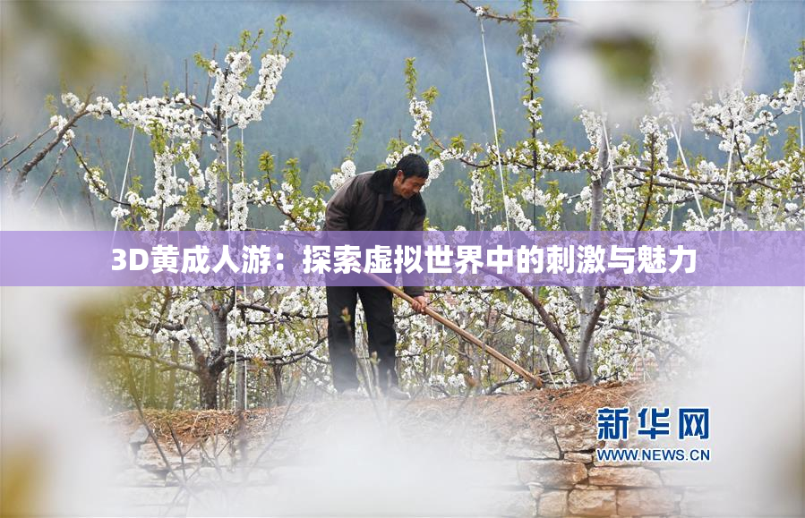 3D黄成人游：探索虚拟世界中的刺激与魅力