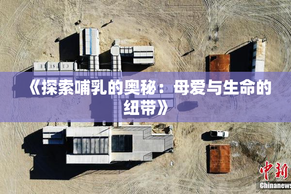 《探索哺乳的奥秘：母爱与生命的纽带》