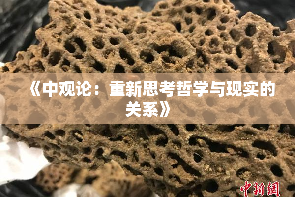《中观论：重新思考哲学与现实的关系》