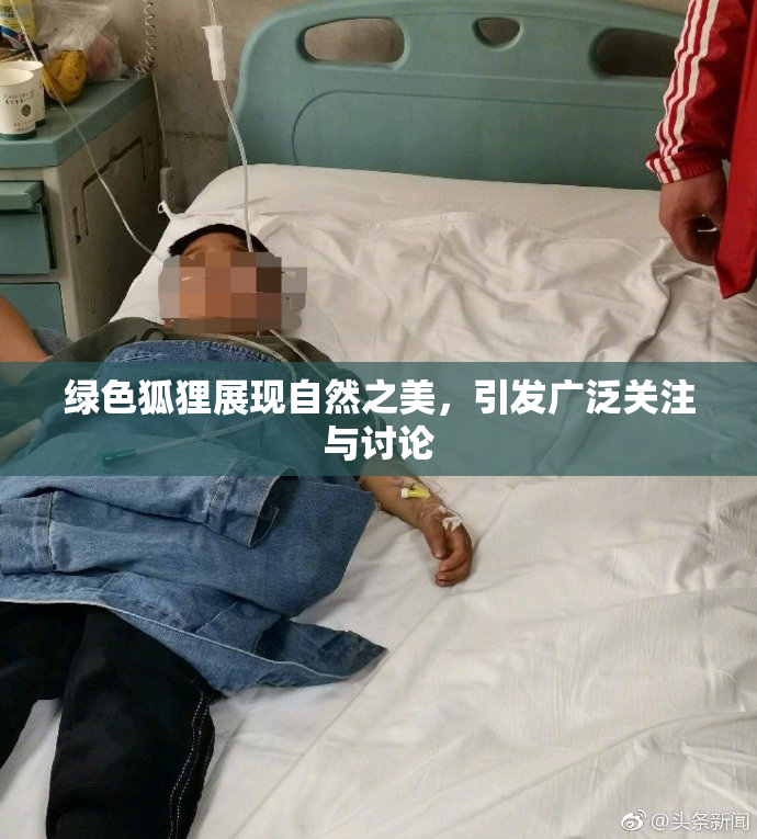 绿色狐狸展现自然之美，引发广泛关注与讨论