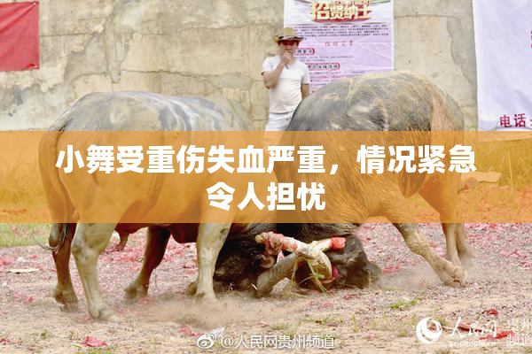 小舞受重伤失血严重，情况紧急令人担忧