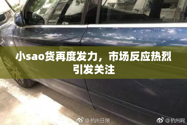 小sao货再度发力，市场反应热烈引发关注