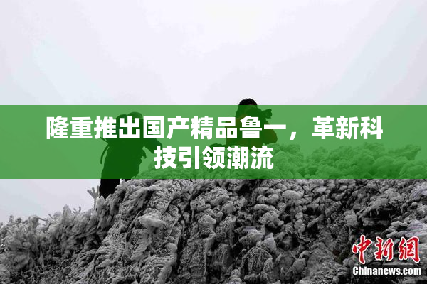 隆重推出国产精品鲁一，革新科技引领潮流