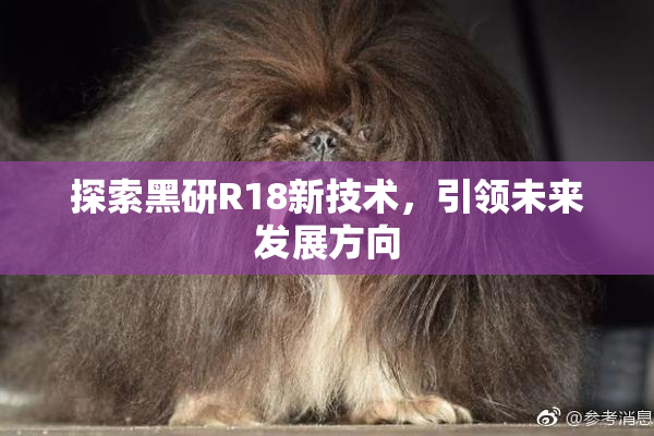 探索黑研R18新技术，引领未来发展方向