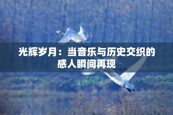 光辉岁月：当音乐与历史交织的感人瞬间再现