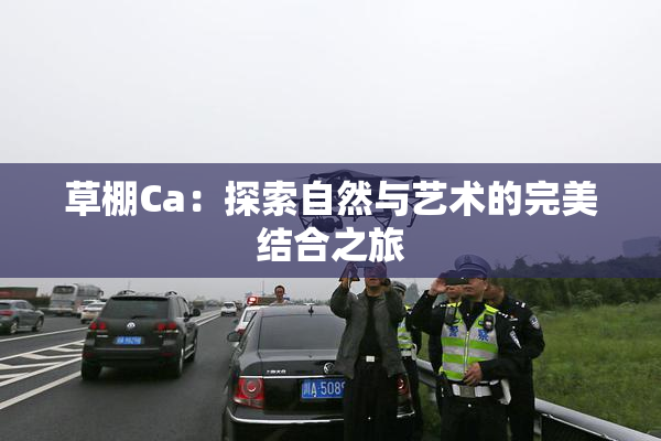 草棚Ca：探索自然与艺术的完美结合之旅