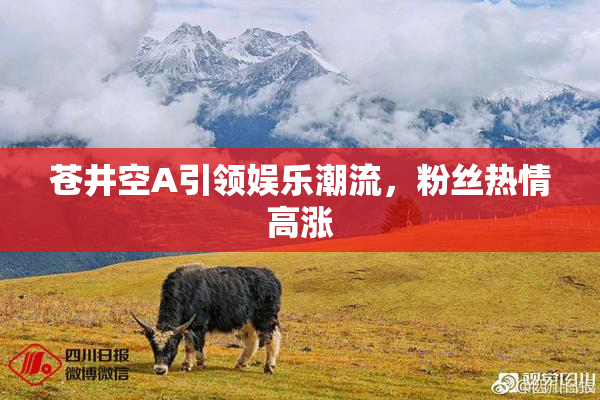 苍井空A引领娱乐潮流，粉丝热情高涨