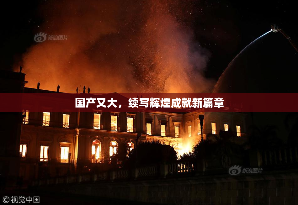 国产又大，续写辉煌成就新篇章