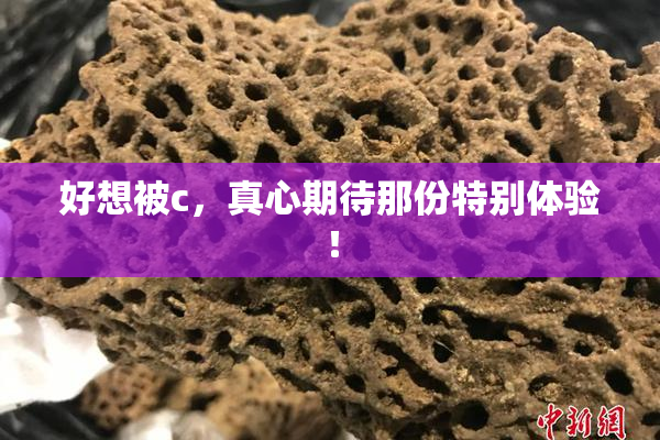 好想被c，真心期待那份特别体验！