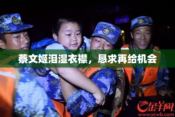蔡文姬泪湿衣襟，恳求再给机会