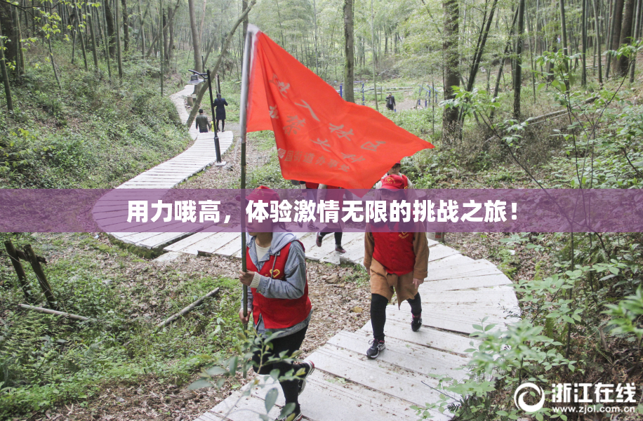 用力哦高，体验激情无限的挑战之旅！