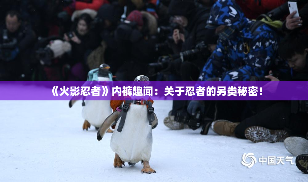 《火影忍者》内裤趣闻：关于忍者的另类秘密！