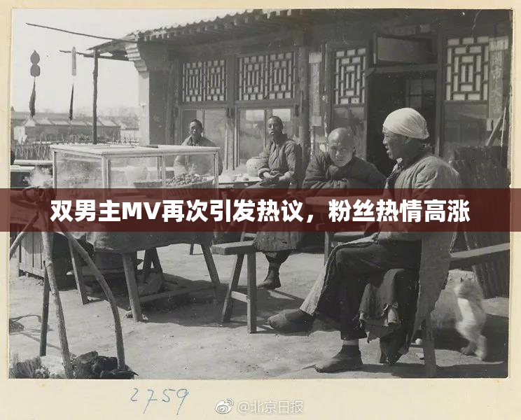 双男主MV再次引发热议，粉丝热情高涨