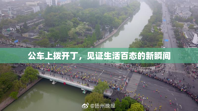 公车上拨开丁，见证生活百态的新瞬间