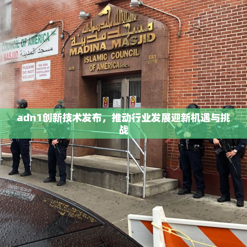 adn1创新技术发布，推动行业发展迎新机遇与挑战