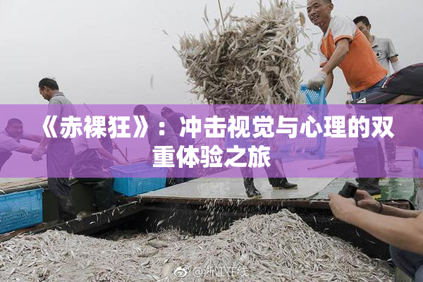 《赤裸狂》：冲击视觉与心理的双重体验之旅