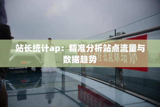 站长统计ap：精准分析站点流量与数据趋势