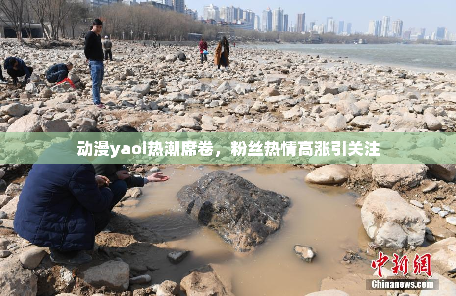 动漫yaoi热潮席卷，粉丝热情高涨引关注