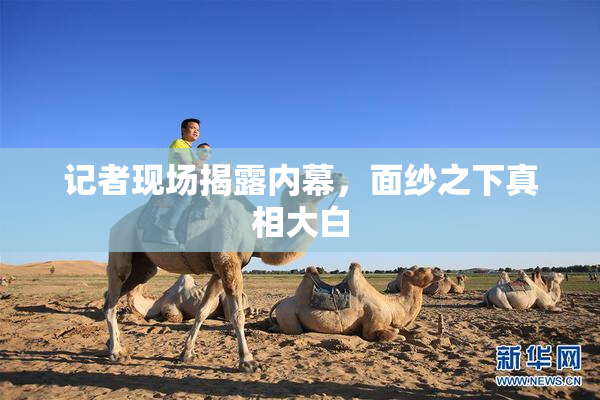 记者现场揭露内幕，面纱之下真相大白