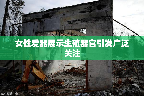 女性爱器展示生殖器官引发广泛关注