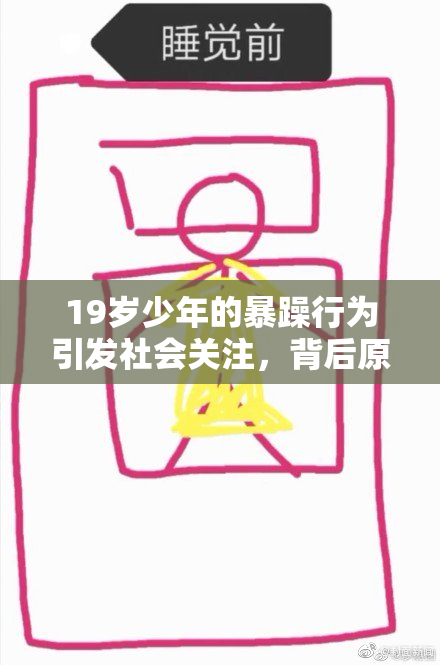 19岁少年的暴躁行为引发社会关注，背后原因亟待探讨