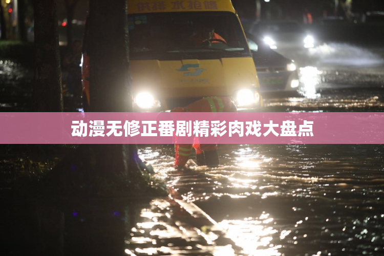 动漫无修正番剧精彩肉戏大盘点