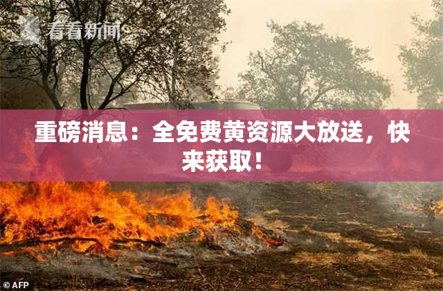 重磅消息：全免费黄资源大放送，快来获取！
