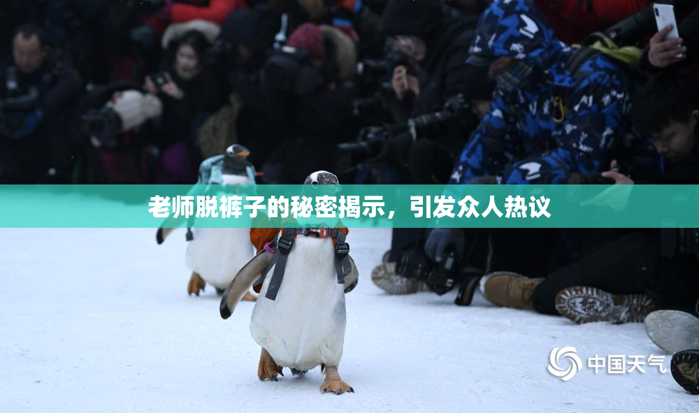 老师脱裤子的秘密揭示，引发众人热议