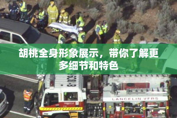 胡桃全身形象展示，带你了解更多细节和特色