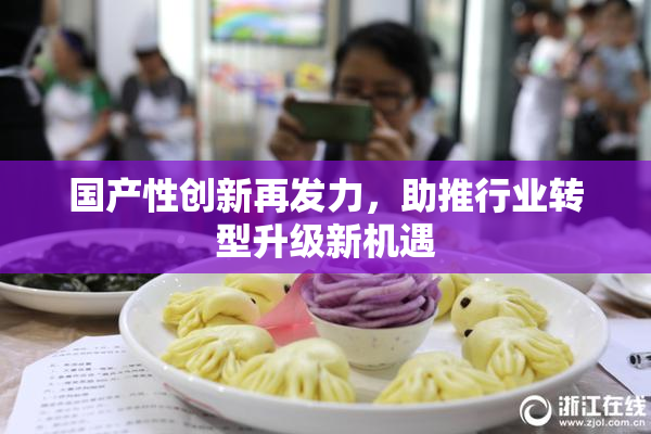国产性创新再发力，助推行业转型升级新机遇