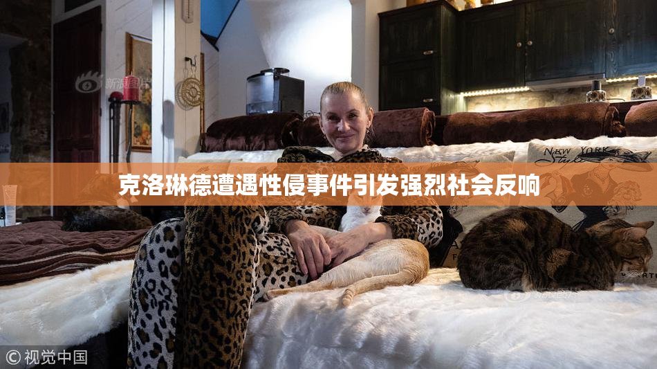 克洛琳德遭遇性侵事件引发强烈社会反响
