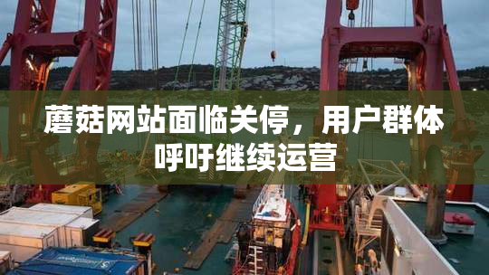 蘑菇网站面临关停，用户群体呼吁继续运营