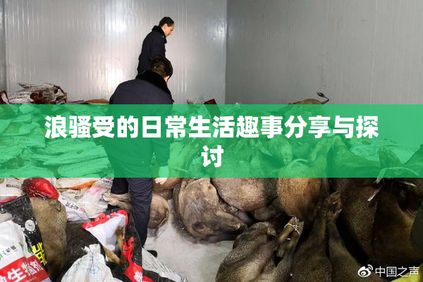 浪骚受的日常生活趣事分享与探讨