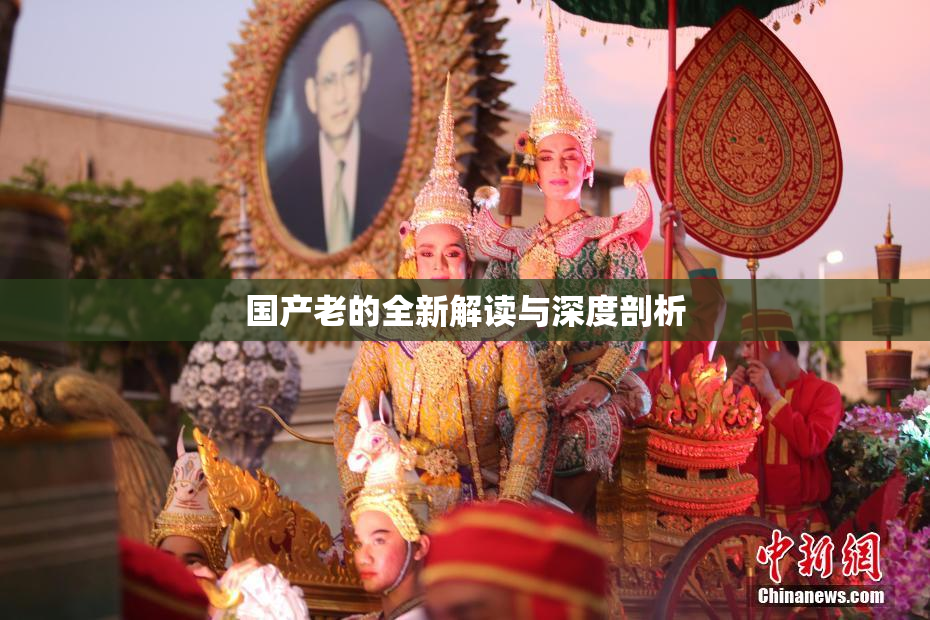 国产老的全新解读与深度剖析
