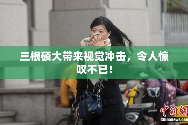 三根硕大带来视觉冲击，令人惊叹不已！