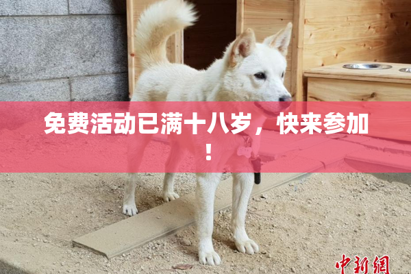 免费活动已满十八岁，快来参加！