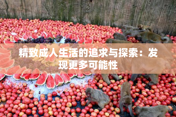 精致成人生活的追求与探索：发现更多可能性