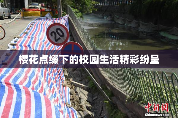 樱花点缀下的校园生活精彩纷呈