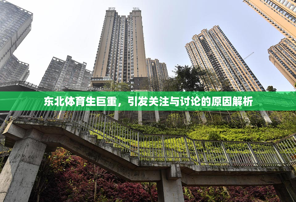 东北体育生巨重，引发关注与讨论的原因解析