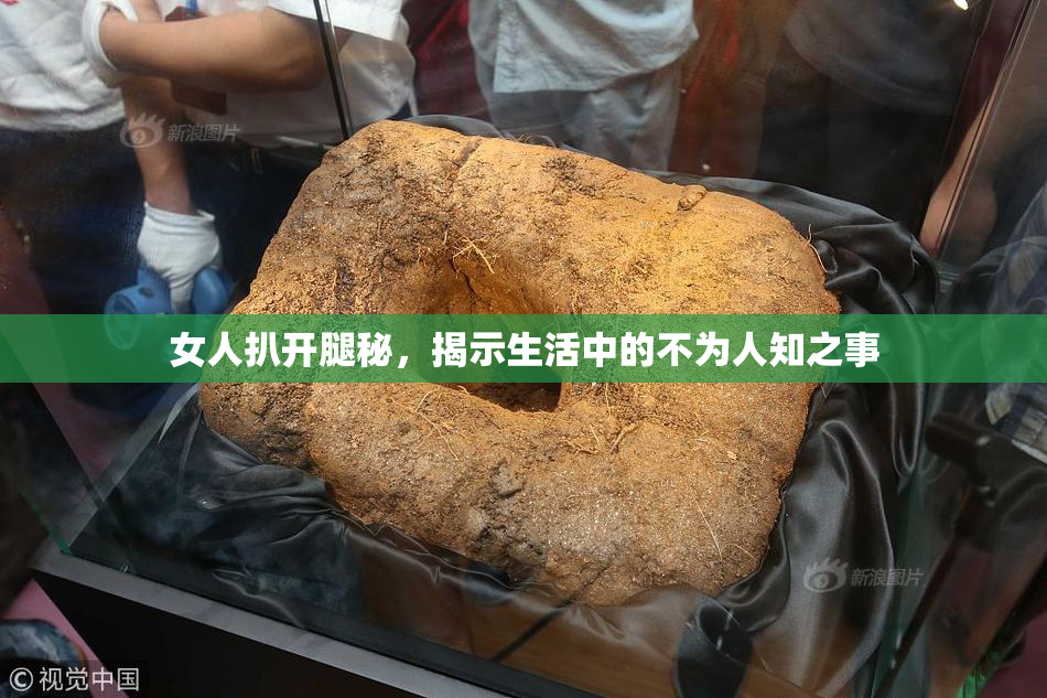 女人扒开腿秘，揭示生活中的不为人知之事