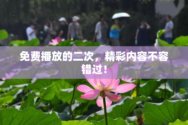 免费播放的二次，精彩内容不容错过！