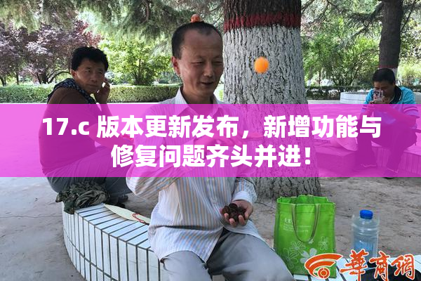 17.c 版本更新发布，新增功能与修复问题齐头并进！