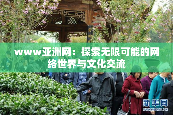 www亚洲网：探索无限可能的网络世界与文化交流