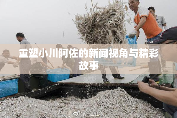 重塑小川阿佐的新闻视角与精彩故事
