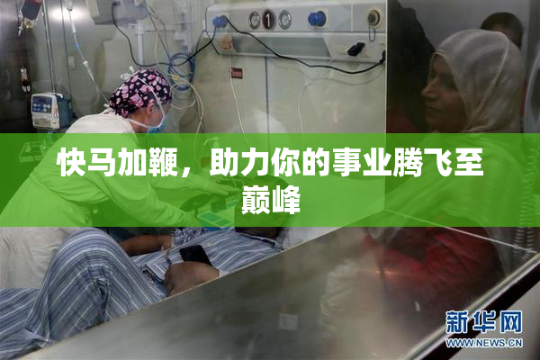 快马加鞭，助力你的事业腾飞至巅峰