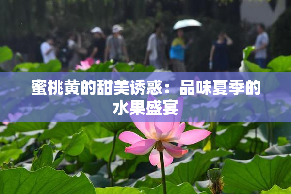 蜜桃黄的甜美诱惑：品味夏季的水果盛宴