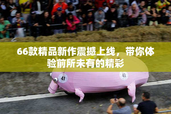 66款精品新作震撼上线，带你体验前所未有的精彩