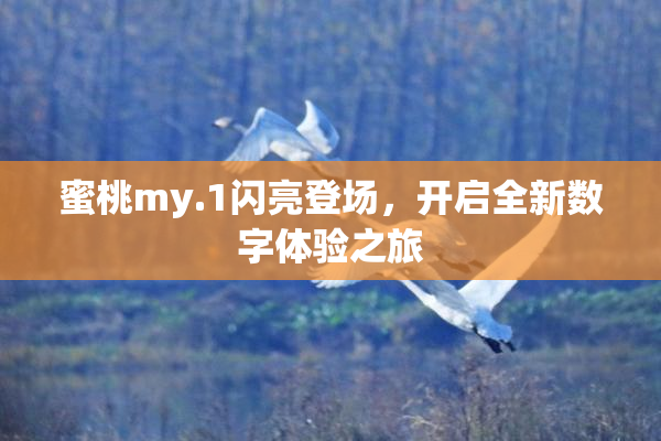 蜜桃my.1闪亮登场，开启全新数字体验之旅