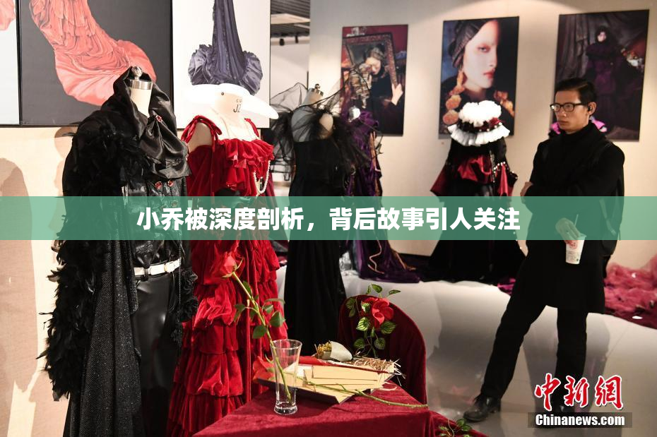 小乔被深度剖析，背后故事引人关注
